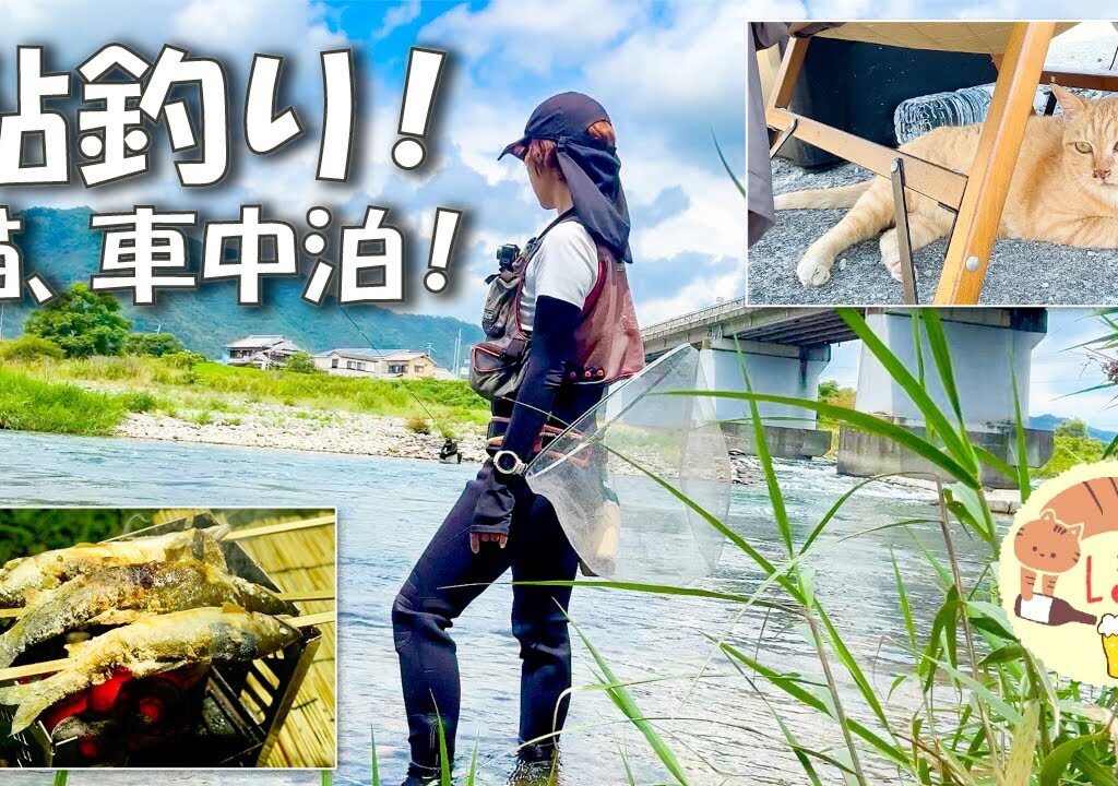 鮎釣りと猫と古民家、夏休みを満喫するぼっち女の車中泊/car camping in japan/old private house/cat/ayu fishing
