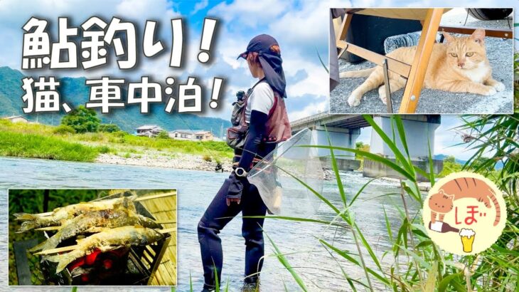 鮎釣りと猫と古民家、夏休みを満喫するぼっち女の車中泊/car camping in japan/old private house/cat/ayu fishing
