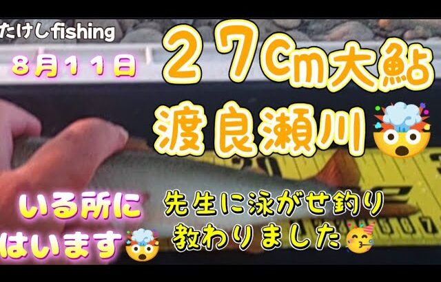 【鮎釣り】２７cm大鮎🤯先生の泳がせ釣り教室🤗あくまでも参考まで😌