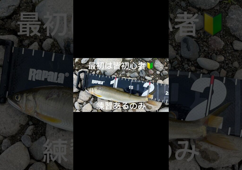 【鮎釣り】誰も最初は皆初心者🔰#鮎#アユ#アユ釣り#鮎釣り#鮎の友釣り#鮎の塩焼き#shorts#short