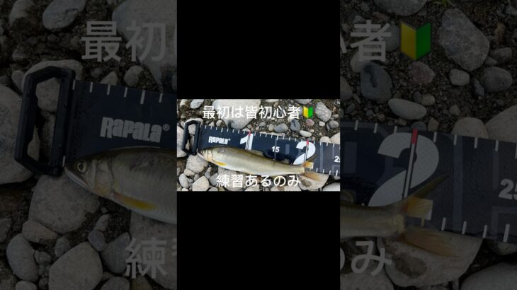 【鮎釣り】誰も最初は皆初心者🔰#鮎#アユ#アユ釣り#鮎釣り#鮎の友釣り#鮎の塩焼き#shorts#short