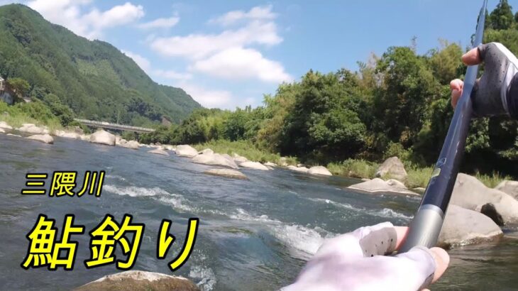 【鮎釣り】午前中に三隈川へ鮎釣り　後編【友釣り】