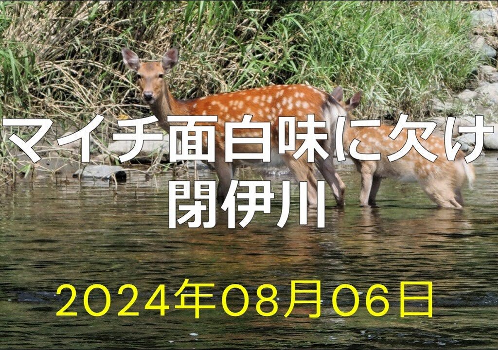 イマイチ面白味に欠けた閉伊川