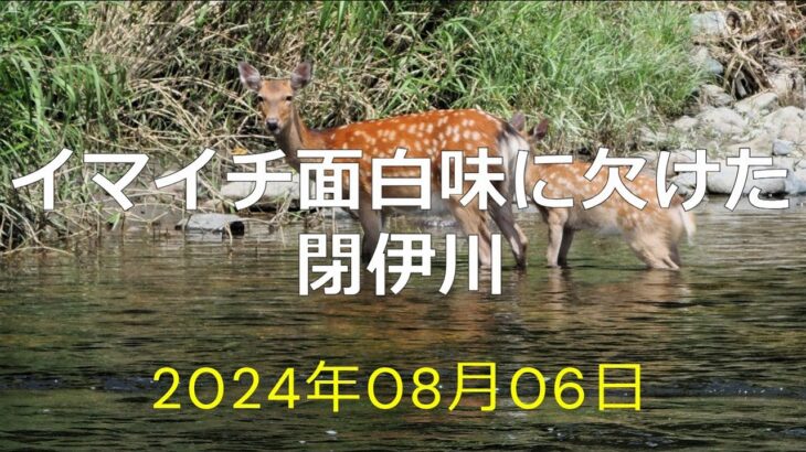 イマイチ面白味に欠けた閉伊川