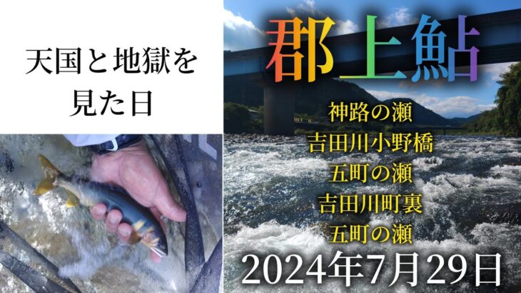 郡上鮎。神路の瀬、吉田川小野橋、五町の瀬、吉田川町裏、五町の瀬。天国と地獄を見た日。