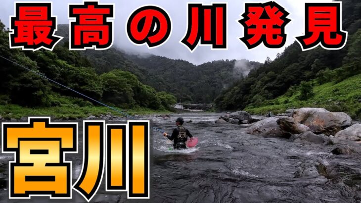 初めて行った宮川が想像以上でビビった件【鮎釣り】