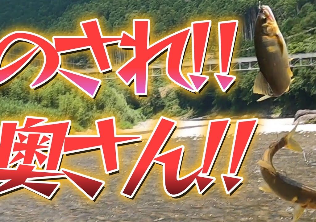【鮎釣り】奥さん、デカイ鮎にのされまくる