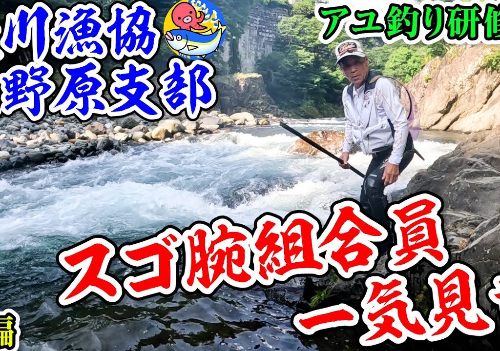桂川漁協・上野原支部【アユ釣り研修会前編】ベテラン組合員のスゴ腕一気見せ