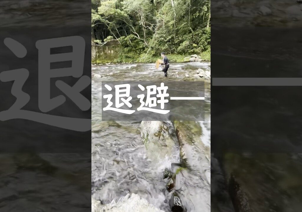 鮎釣りへ来たら自然に恐怖を感じました
