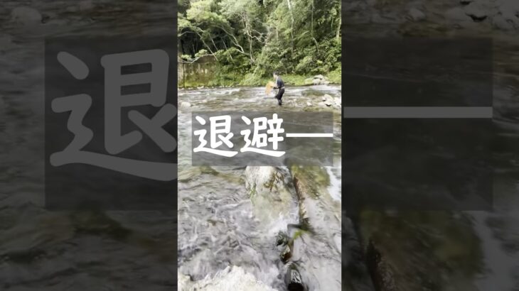 鮎釣りへ来たら自然に恐怖を感じました