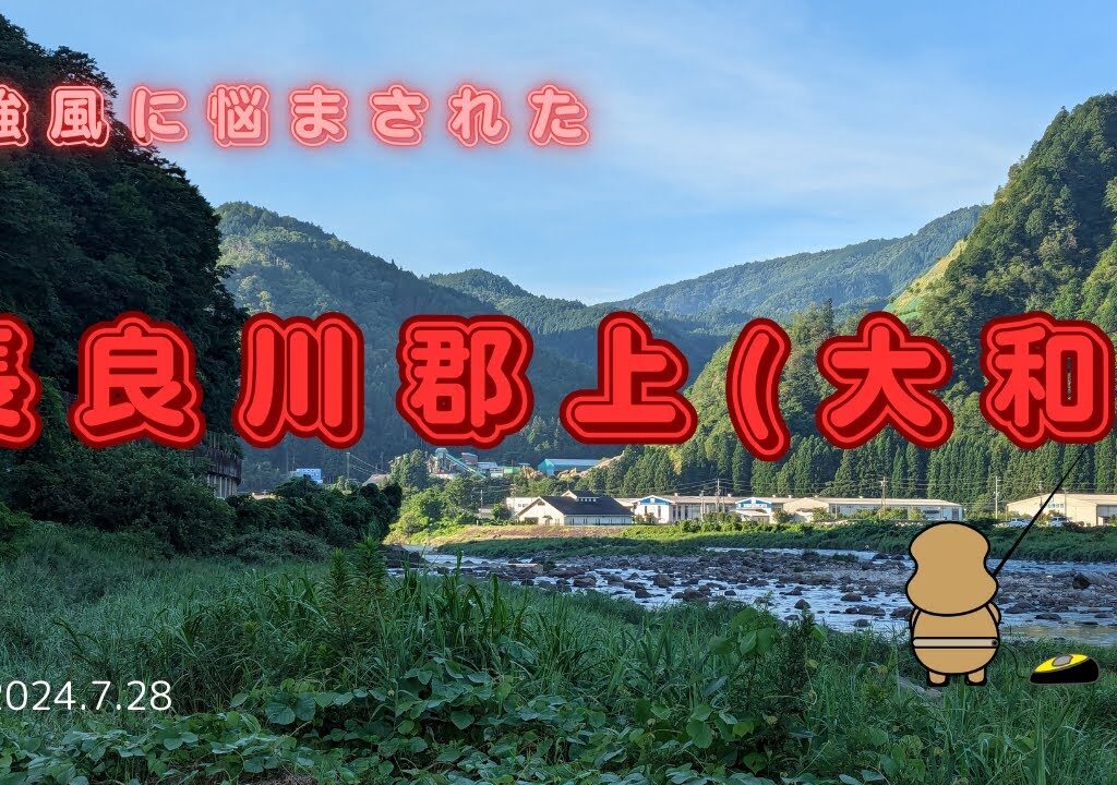 長良川郡上（大和）地区　強風　#鮎釣り　#銀影エアショートリミテッド
