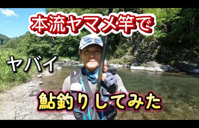 本流ヤマメ竿で鮎釣りしてみた　この竿はヤバイ