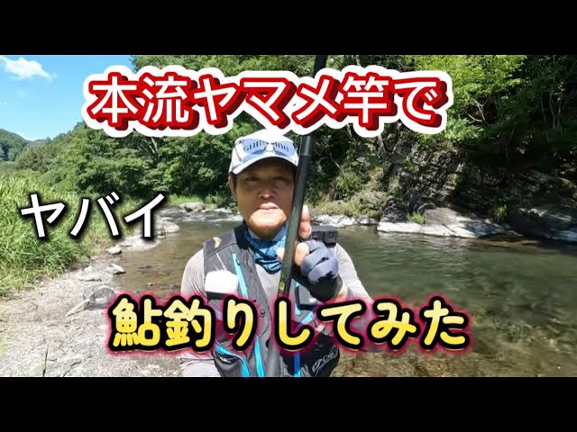 本流ヤマメ竿で鮎釣りしてみた　この竿はヤバイ
