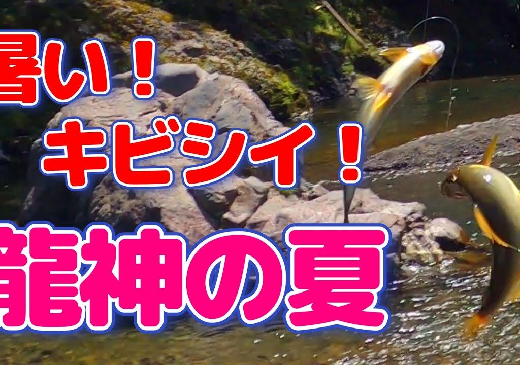 【鮎釣り】おっさん!!今日もジタバタもがく!!
