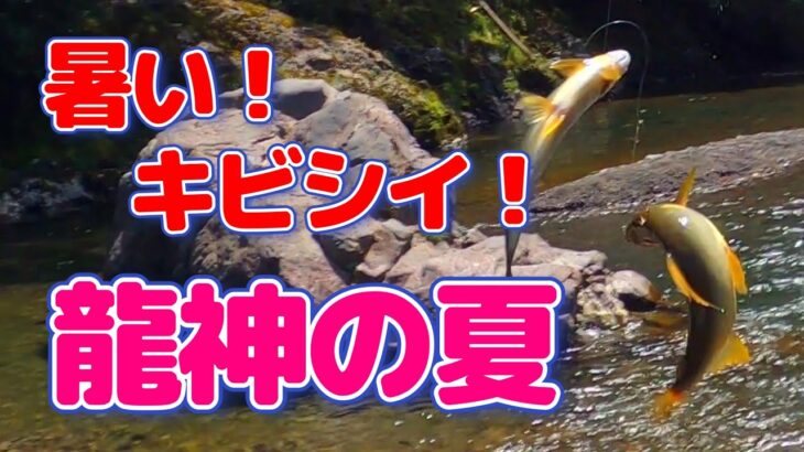 【鮎釣り】おっさん!!今日もジタバタもがく!!