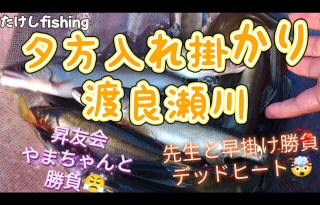 【鮎釣り】昨日大鮎入れ掛かり情報🤯本日も夕方入れ掛かり🥳まさかの○○ン切れ？🧐