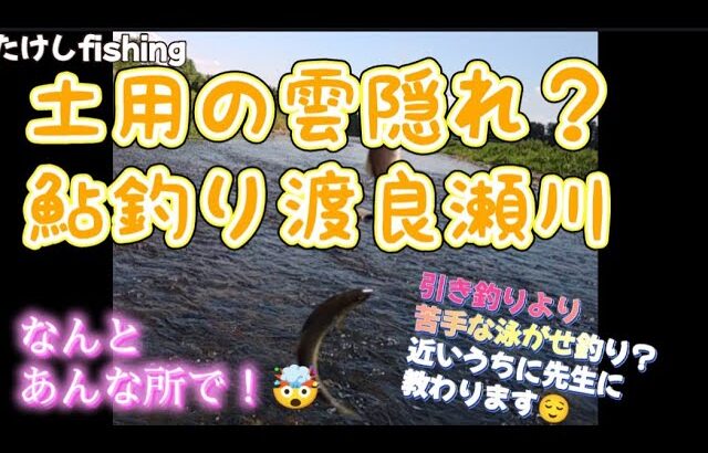 【鮎釣り】渡良瀬川あんな所に鮎が🤯土用の雲隠れ？🧐先生助けて🆘😱‼️勉強不足😵