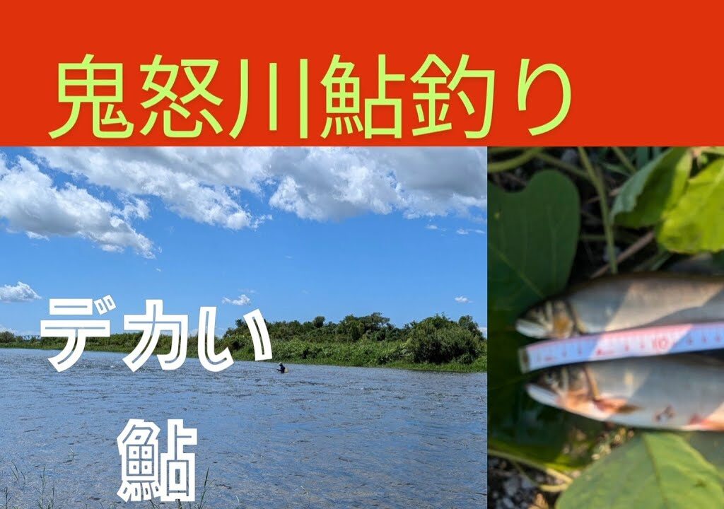 鬼怒川鮎釣り、阿久津から石井あたり、どこが釣れるかな？