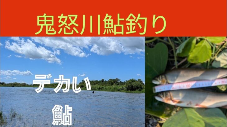 鬼怒川鮎釣り、阿久津から石井あたり、どこが釣れるかな？