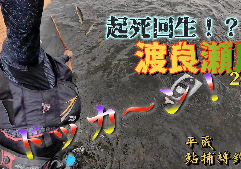 【起死回生!?】場所ムラは安全に「渡良っ瀬」回避した先に見たものは？！ドッカ～ン‼️栃木県渡良瀬川 “平蔵鮎捕縛釣”