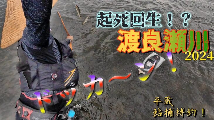 【起死回生!?】場所ムラは安全に「渡良っ瀬」回避した先に見たものは？！ドッカ～ン‼️栃木県渡良瀬川 “平蔵鮎捕縛釣”