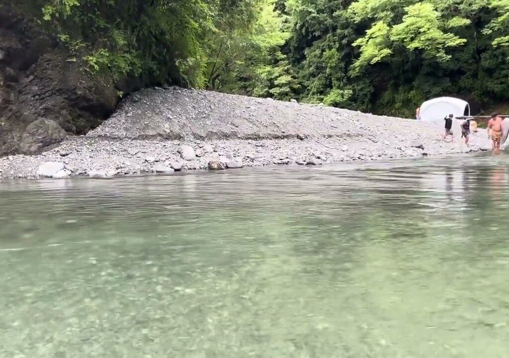 【鮎釣り　道志川】 道志川と言えば両国橋　真っ黄色の鮎ばかり