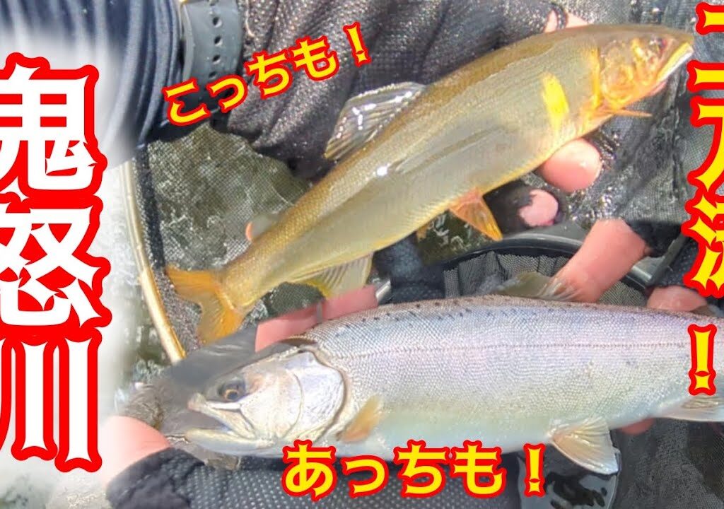 鬼怒川本流　ヤマメ釣りも鮎釣りもどっちもやりたい！