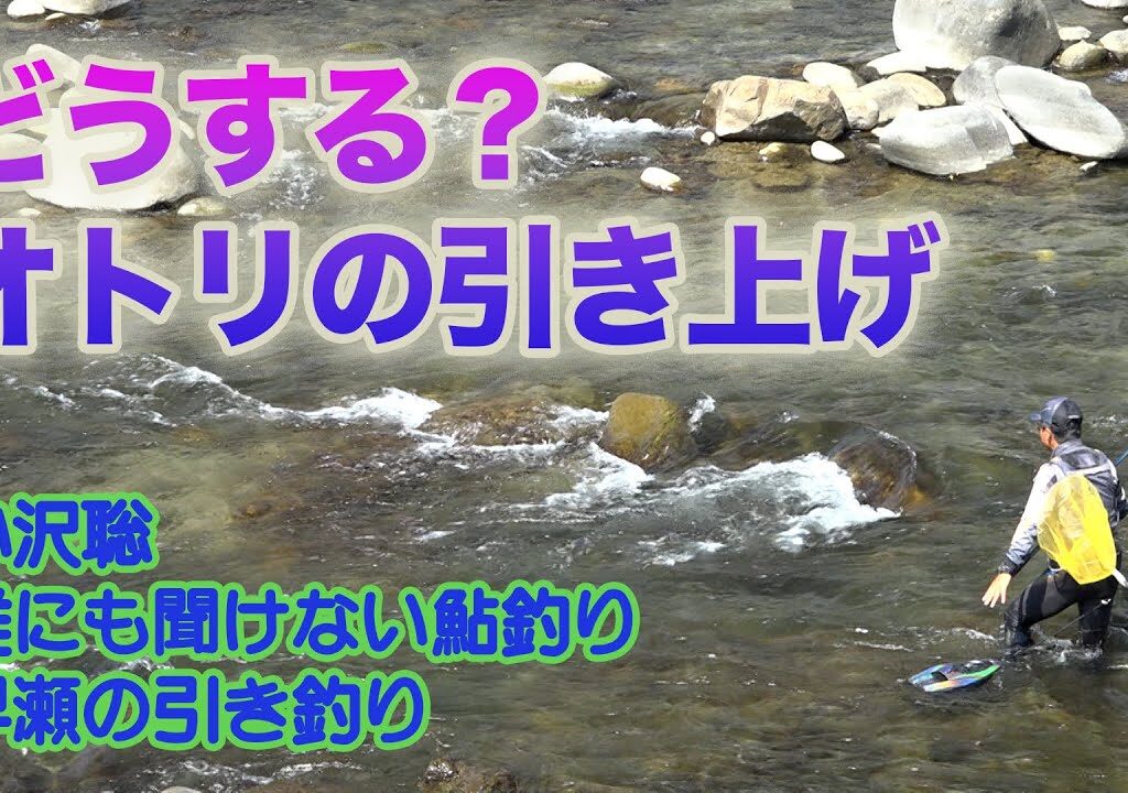 小沢聡 誰にも聞けない鮎釣り1 どうする？オトリの引き上げ