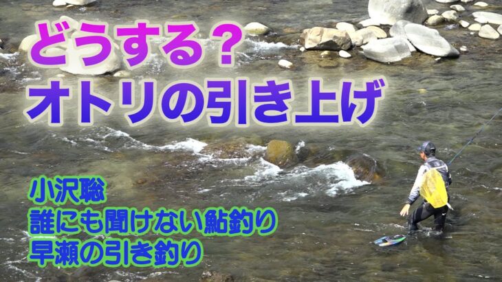 小沢聡 誰にも聞けない鮎釣り1 どうする？オトリの引き上げ