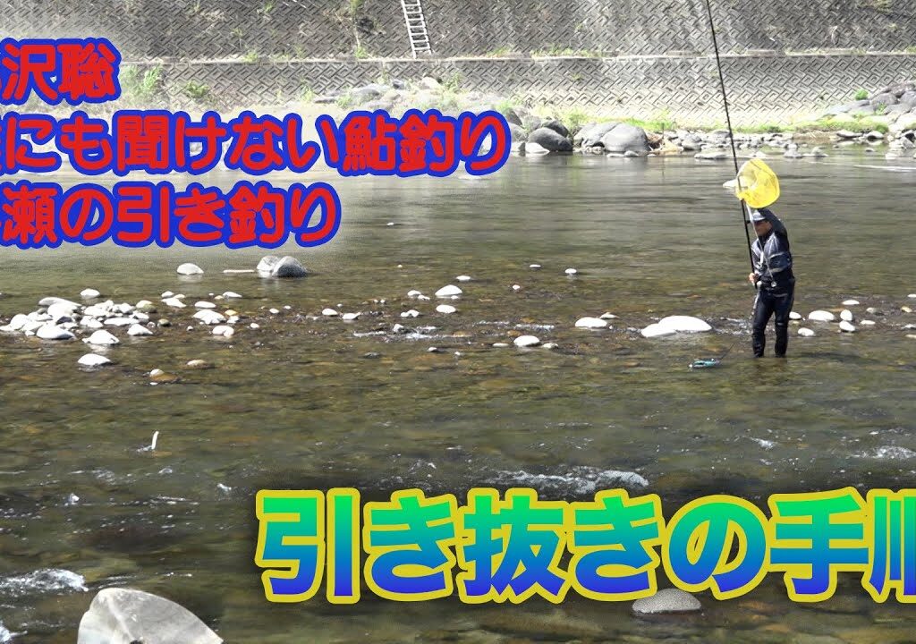 小沢聡 誰にも聞けない鮎釣り1 引き抜きの手順