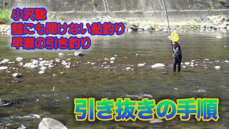 小沢聡 誰にも聞けない鮎釣り1 引き抜きの手順