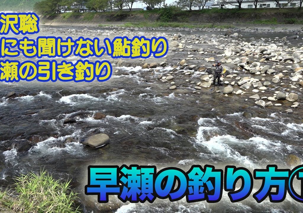 小沢聡 誰にも聞けない鮎釣り1 早瀬の釣り方①