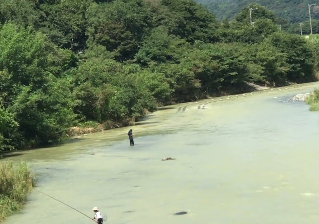 速報❗️鮎釣り人情報❗️放流による濁り水ですが台風10号以降初、今日のウォッチで2カ所で釣り人発見❗️相模川水系小倉橋と中津川水系ハ菅橋