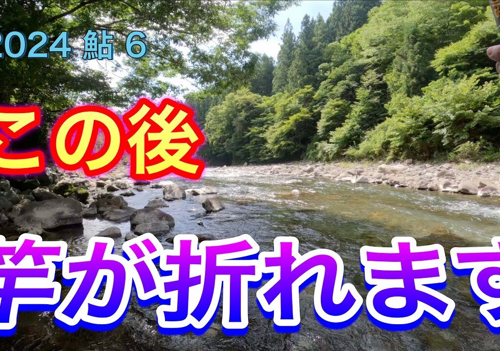 2024 鮎 6　【この後　竿が折れます】　那賀川