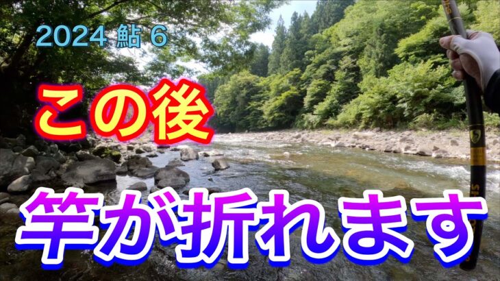 2024 鮎 6　【この後　竿が折れます】　那賀川