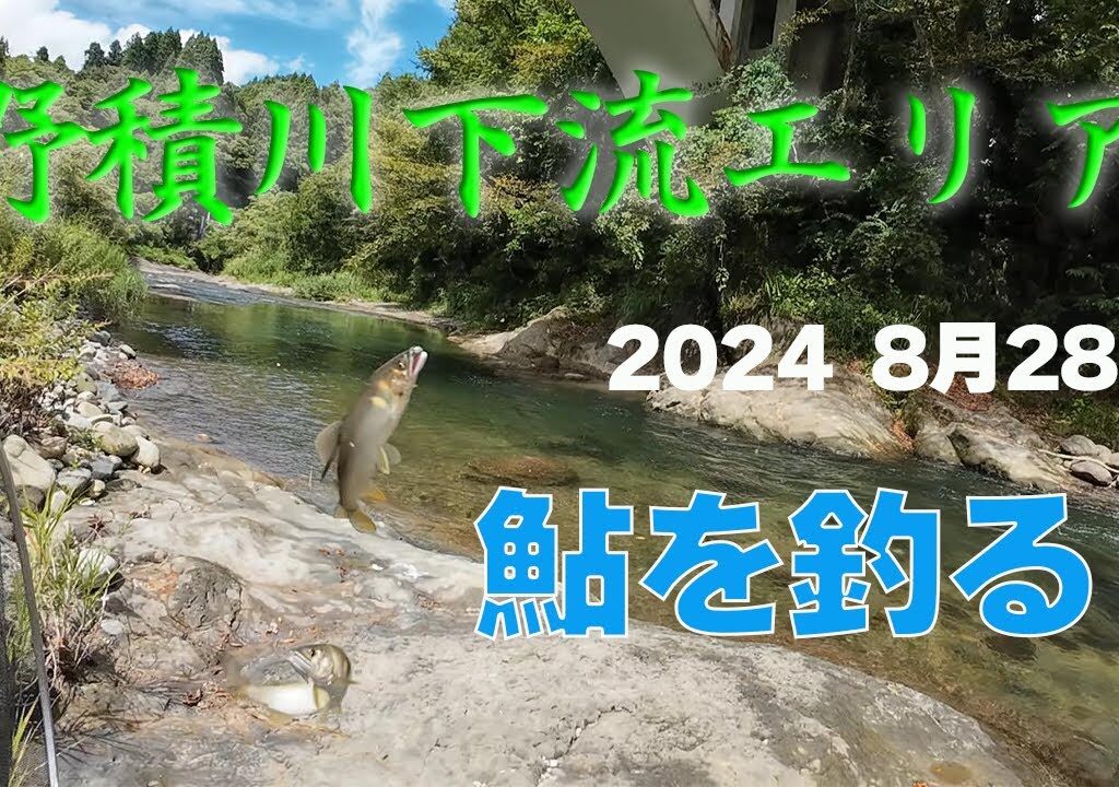 2024 8月28日 【野積川下流エリア】で鮎を釣る！