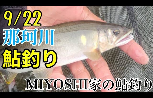 [鮎釣り2024]少しだけ鮎釣り今が最高⤴面白すぎる‼
