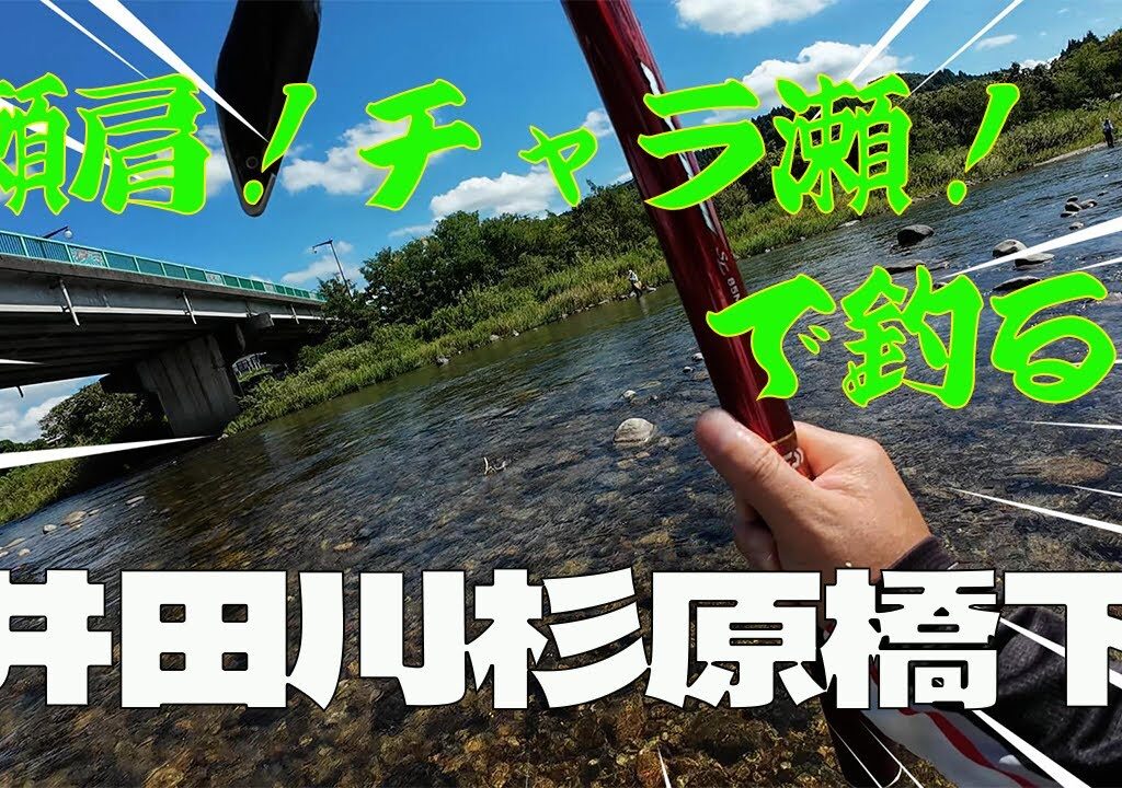 2024 9月13日 【井田川 杉原橋下】瀬肩からのチャラ瀬で釣る！