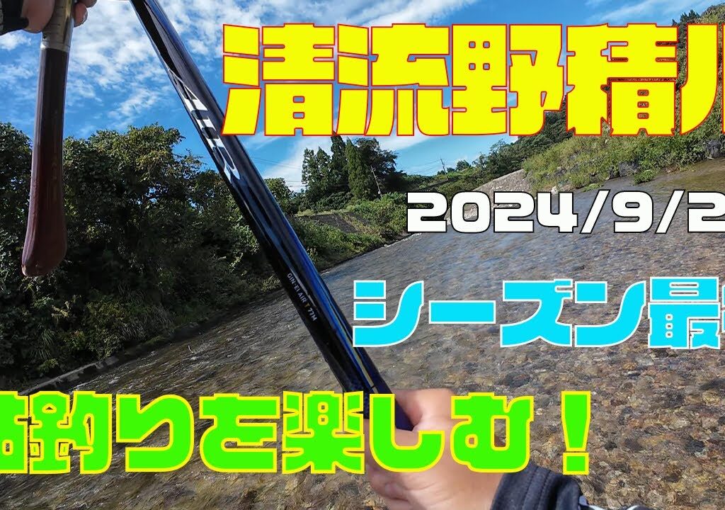 2024 9月20日【清流野積川】シーズン最後の鮎釣りを楽しむ！