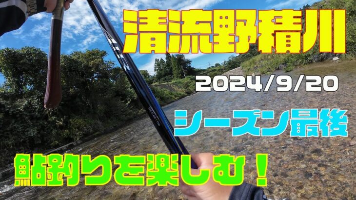 2024 9月20日【清流野積川】シーズン最後の鮎釣りを楽しむ！