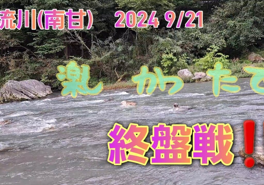 鮎釣り終盤戦‼️神流川(南甘)2024 9/21