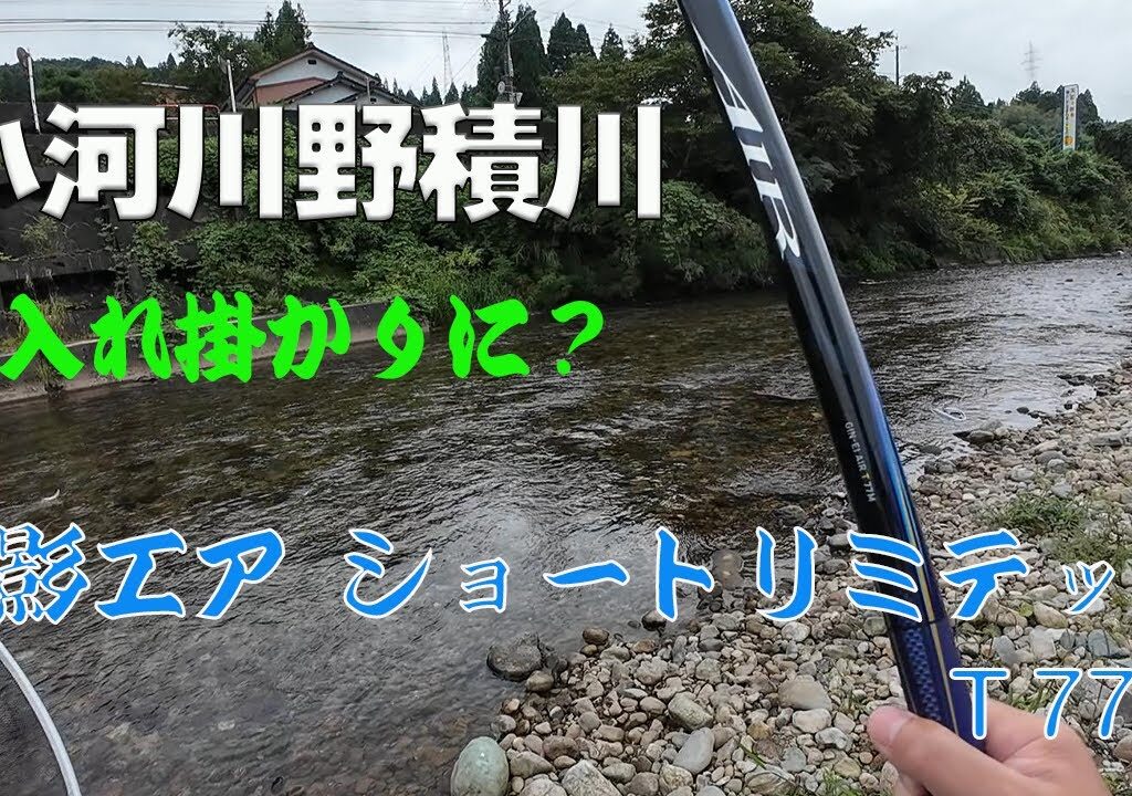 2024 9月8日 小河川野積川【銀影エア ショートリミテッド T 77M】で入れ掛かり？