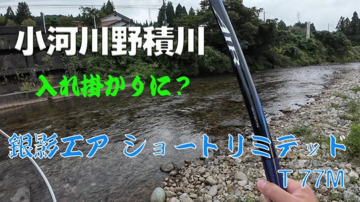 2024 9月8日 小河川野積川【銀影エア ショートリミテッド T 77M】で入れ掛かり？