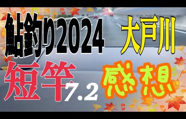 【鮎釣り2024】滋賀県大戸川。撮影断念‼️えらいこっちゃ。#若鮎 #鮎釣り #fishing #感想文 #gopro