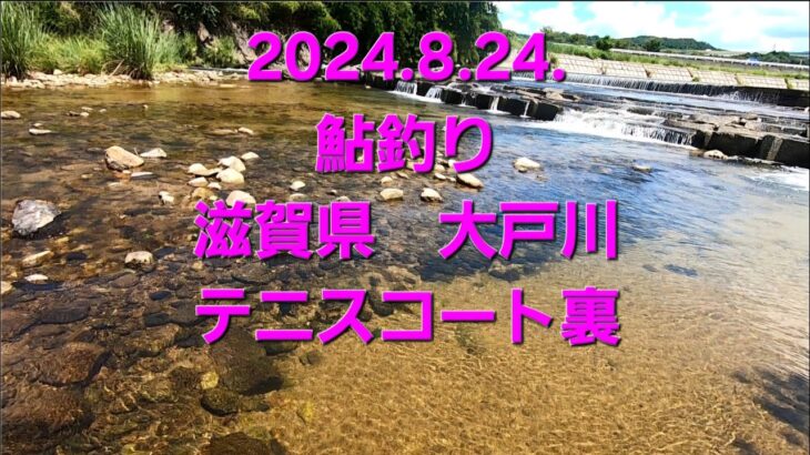 2024.8.24 滋賀県大戸川　テニスコート裏　鮎釣り　短時間釣行
