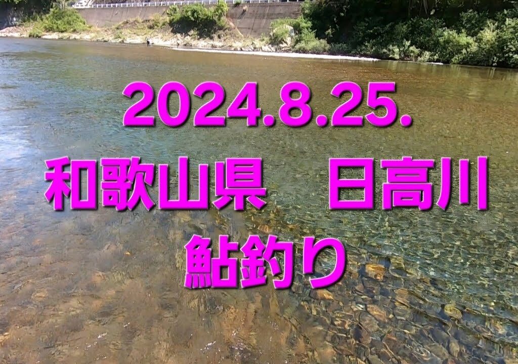 2024.8.25.和歌山県 日高川　鮎釣り　(ダム上流　福井地区、ダム下流　美山迂回川)
