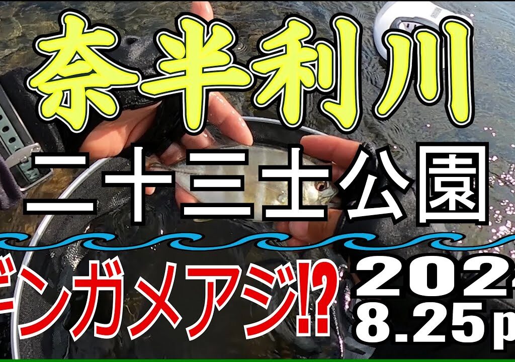 アユの友釣り 奈半利川(高知県) 二十三士公園 2024.8.25pm