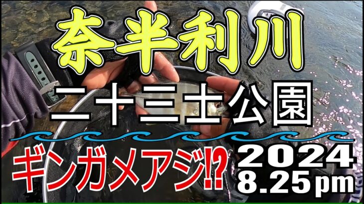 アユの友釣り 奈半利川(高知県) 二十三士公園 2024.8.25pm