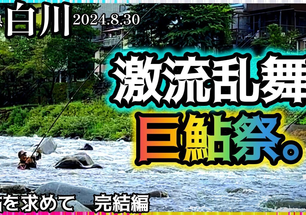 【鮎釣り】白川（岐阜県）｜2024.8.30（金）【友釣り】