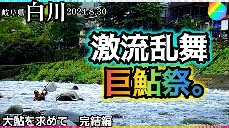 【鮎釣り】白川（岐阜県）｜2024.8.30（金）【友釣り】